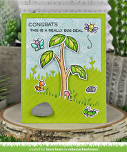 Load image into Gallery viewer, a bug deal