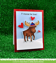 Load image into Gallery viewer, FALSE