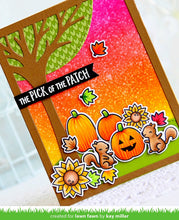 Load image into Gallery viewer, pick of the patch