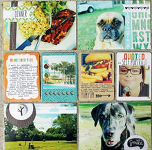 Load image into Gallery viewer, cole's ABCs