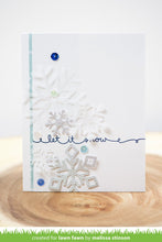 Load image into Gallery viewer, FALSE