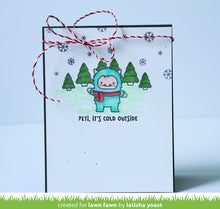 Load image into Gallery viewer, yeti or not