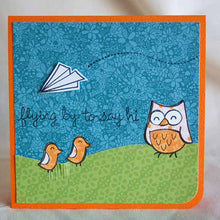 Load image into Gallery viewer, flying by