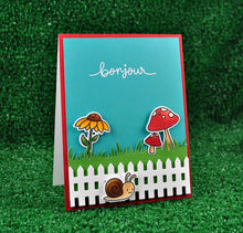 Load image into Gallery viewer, FALSE