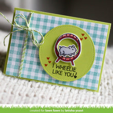 Load image into Gallery viewer, gingham backdrops
